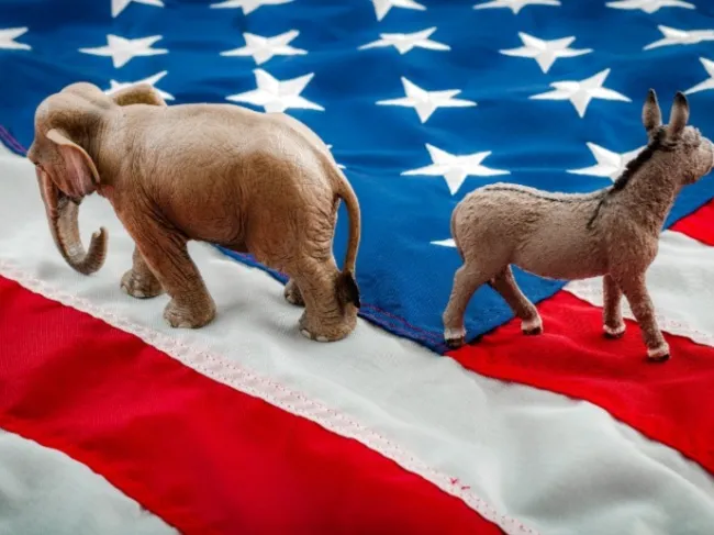 elephant and donkey on american flag